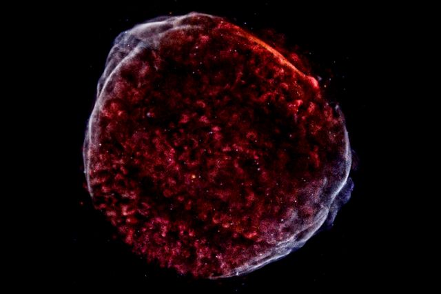 Nέο πορτρέτο του σουπερνόβα που φώτισε τον ουρανό το 1006 μ.Χ.