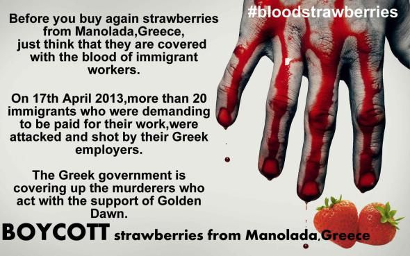 Διεθνές μποϊκοτάζ στις φράουλες της Μανωλάδας