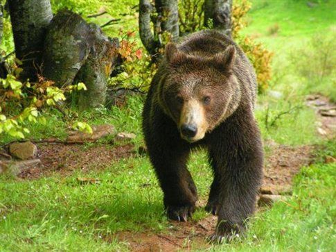 Εκστρατεία του Αρκτούρου για τα ζώα του Ζωολογικού Κήπου Θεσσαλονίκης