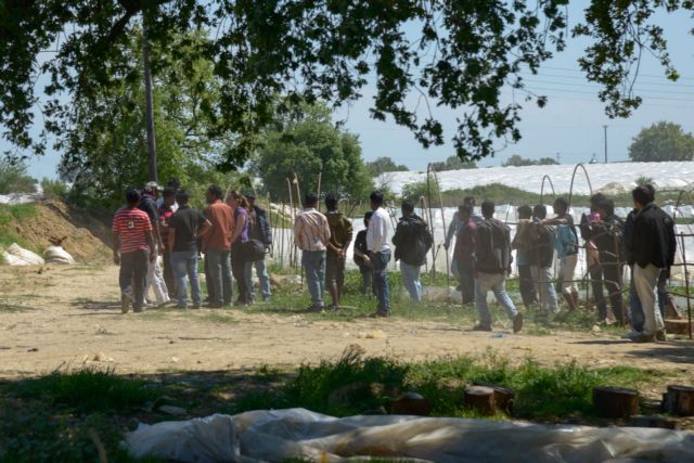 Συνελήφθησαν οι τρεις επιστάτες-πιστολέρο της Μανωλάδας