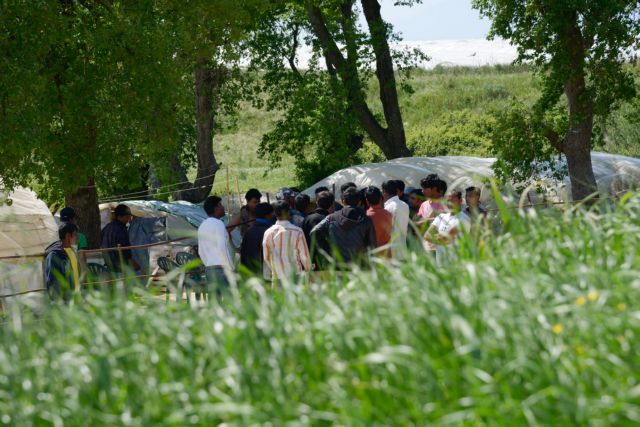 Τη χορήγηση άδειας διαμονής στα θύματα της Μανωλάδας εξετάζει το ΥΠΕΣ