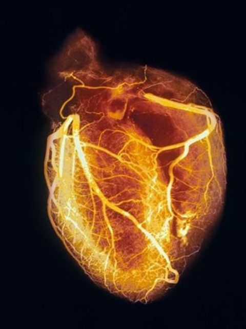 Αναγέννηση της καρδιάς «με ένα μόνο γονίδιο»
