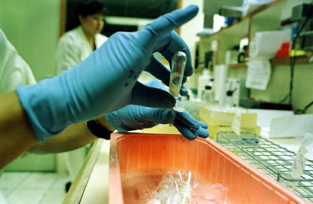 Επιδημία δάγκειου πυρετού με 48 νεκρούς στην Παραγουάη