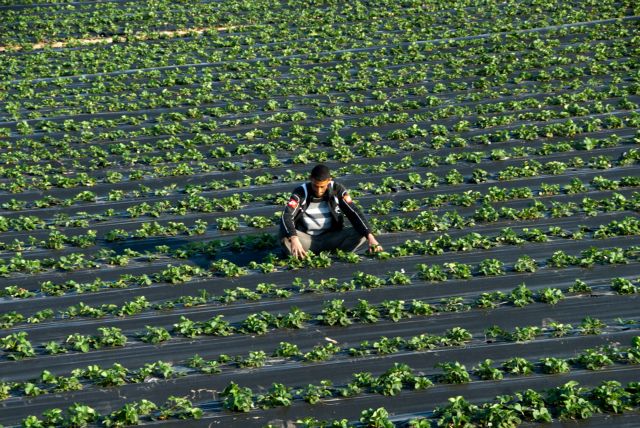Ποσό 123,3 εκατ. ευρώ ζητεί πίσω από την Ελλάδα η Κομισιόν
