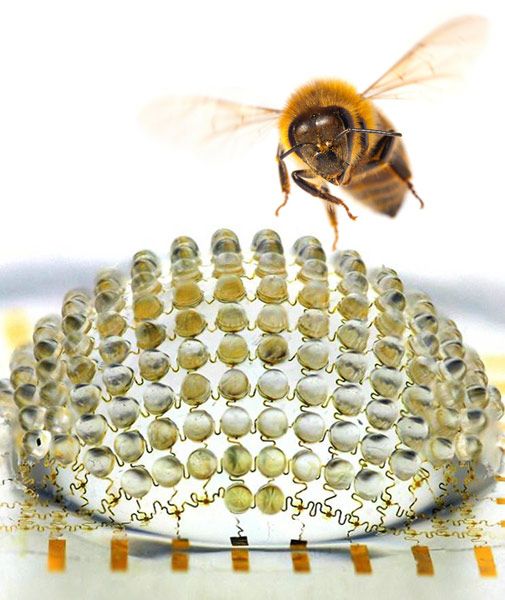 Ευρυγώνια κάμερα μιμείται τα σύνθετα μάτια των εντόμων