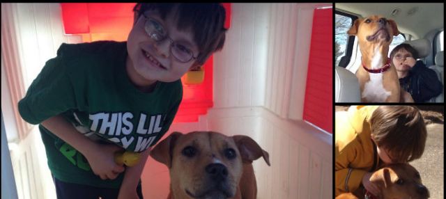 Κουτάβι-πολεμιστής μεταμορφώνει τη ζωή αγοριού με αυτισμό