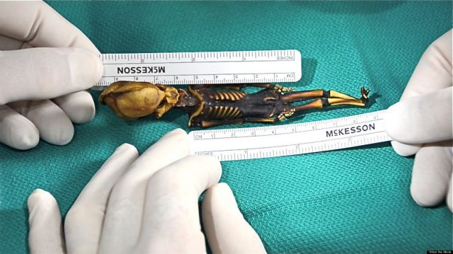 Μικροσκοπικός σκελετός «εξωγήινου» είναι τελικά ανθρώπινος