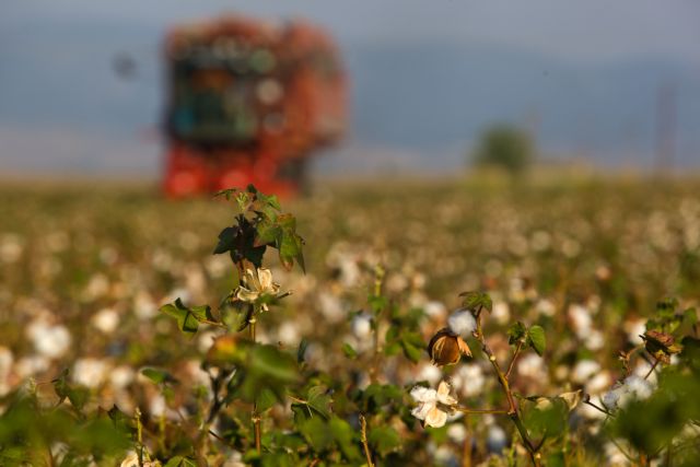 Διαψεύδει η κυβέρνηση δημοσιεύματα για φορολόγηση αγροτικών εκτάσεων