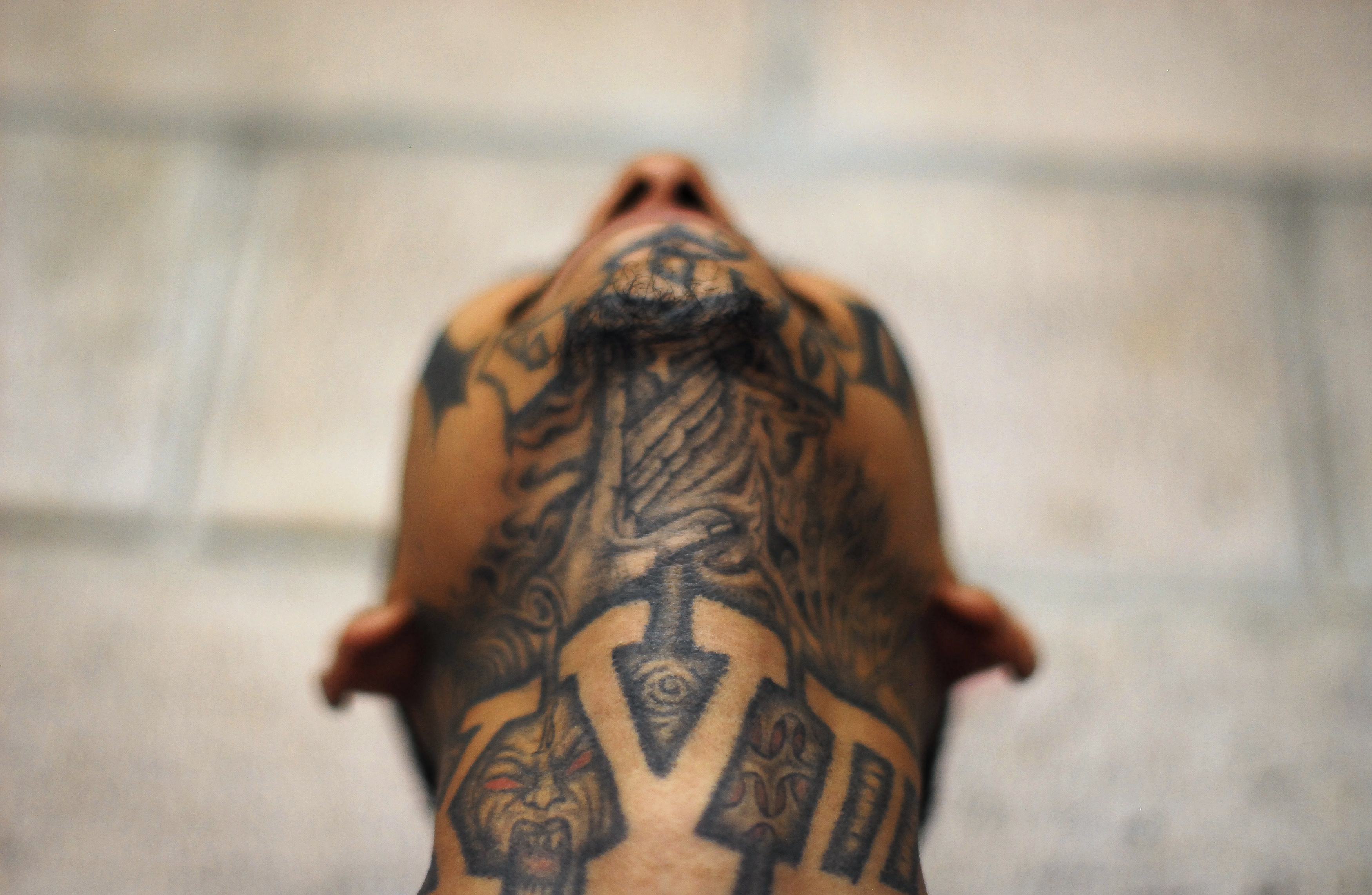 Οι φωτογραφίες της ημέρας (21 Μαΐου 2013)