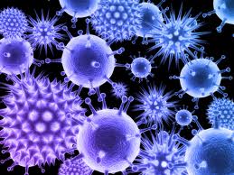 «Φιλικοί» ιοί προστατεύουν τον ανθρώπινο οργανισμό από τα «εχθρικά» βακτήρια