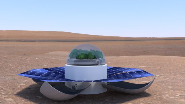 Ο… Ποπάυ φυτεύει σπανάκι στον Άρη και κερδίζει το NASA Space app Challenge