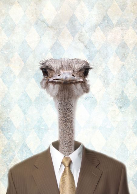 Φεστιβάλ φωτογραφίας Photometria στα Ιωάννινα