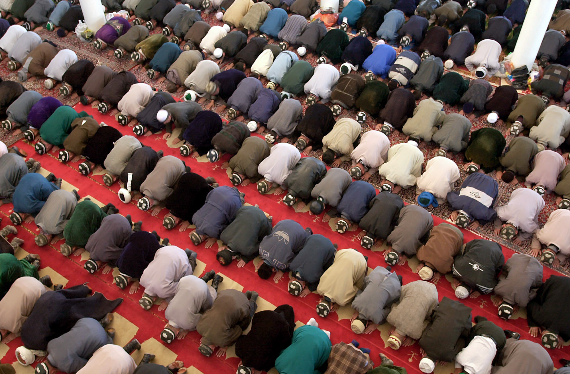 Εγκρίθηκε η πρώτη πίστωση για το τέμενος στον Βοτανικό