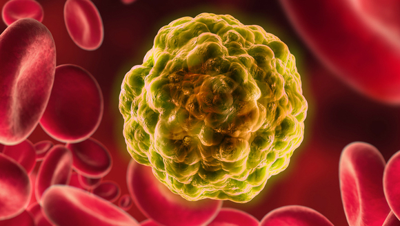 Μονοκλωνικό αντίσωμα αναχαιτίζει την Χρόνια Λεμφοκυτταρική Λευχαιμία