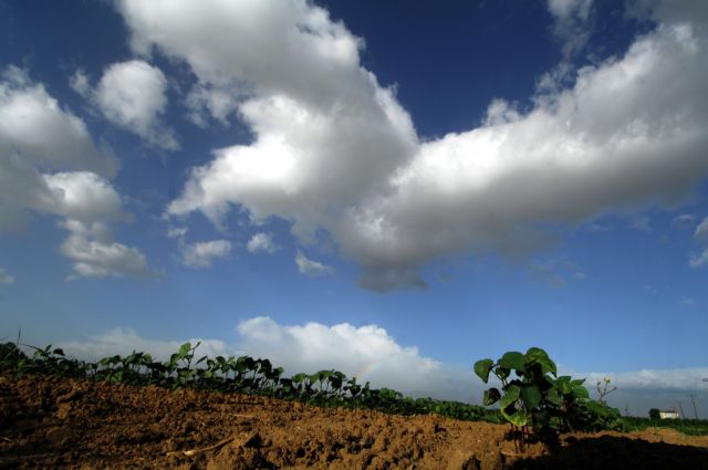 Τι προβλέπεται για τα δάνεια των αγροτών στην υπό εκκαθάριση ATEbank