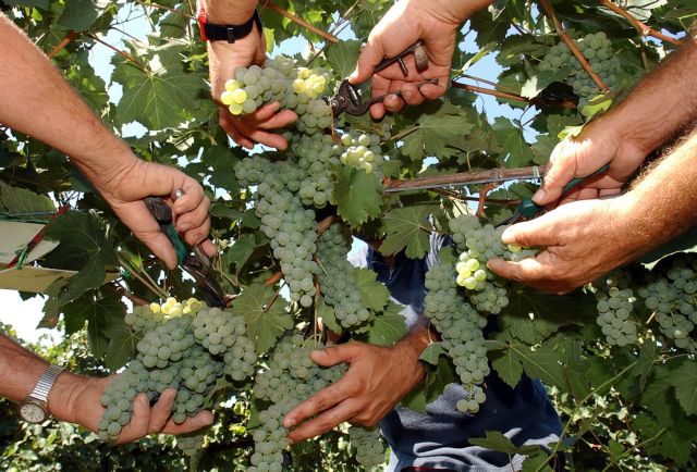 Με απειλή για δασμούς σε προϊόντα της ΕΕ αντεπιτίθεται η Κίνα