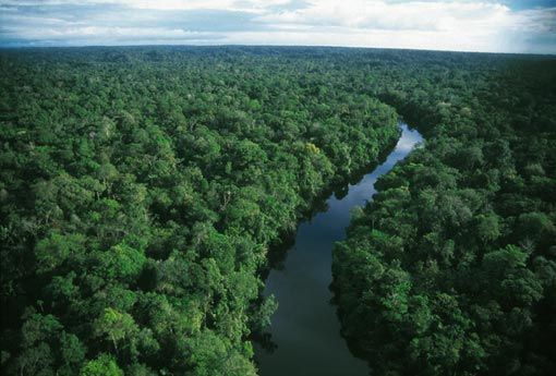 «Μείωση 84%» στην αποψίλωση του βραζιλιανού Αμαζονίου