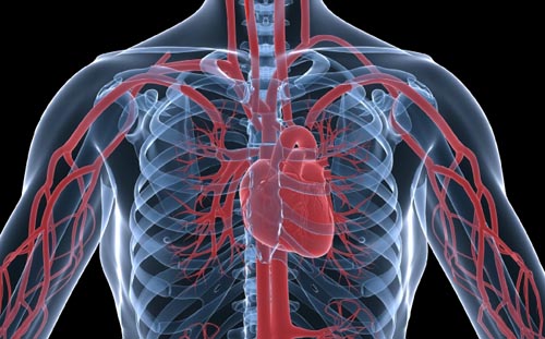 Τα οικονομικά της Υγείας απασχολούν το 9ο Συνέδριο του Κολεγίου Καρδιολογίας