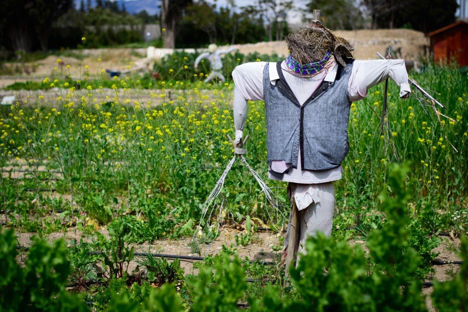 Καλοκαιρινά απογεύματα στο Κέντρο της Γης