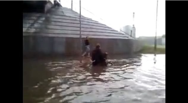 Θραύση κάνει βίντεο με σκύλο σε ρόλο καλού Σαμαρείτη