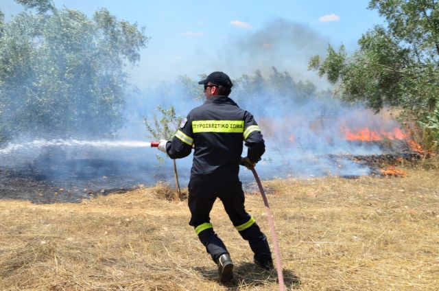 Υπό έλεγχο οι πυρκαγιές σε Δήλεσι Βοιωτίας και Κρυονέρι Αττικής
