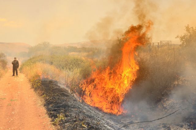 Συνελήφθη 76χρονος για εμπρησμό από αμέλεια στο Δήλεσι Βοιωτίας