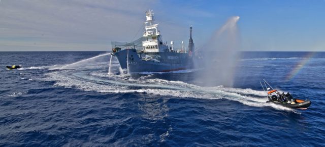 Η Αυστραλία προσφεύγει στη Χάγη κατά των ιαπωνικών φαλαινοθηρικών