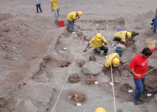 Ίχνη από λουλούδια βρέθηκαν σε τάφο 14.000 ετών στο Ισραήλ