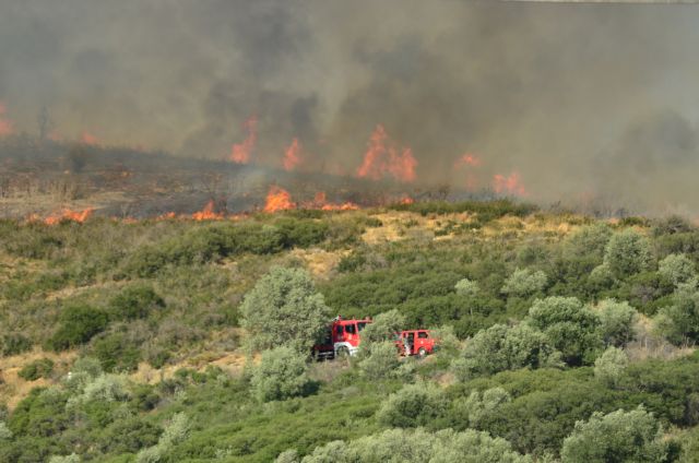 Σε ύφεση η πυρκαγιά στον Σχοινιά