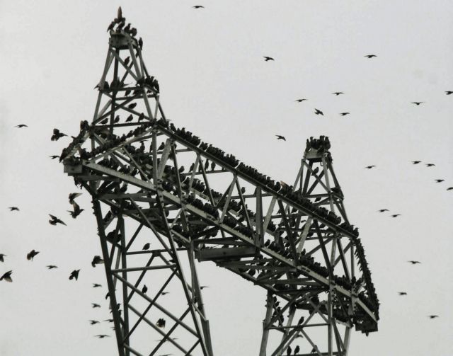 Μέτρα από την ΡΑΕ για την αγορά ηλεκτρικής ενέργειας