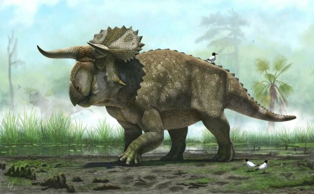 Ένα νέο είδος δεινοσαύρου ανακάλυψαν επιστήμονες στις ΗΠΑ