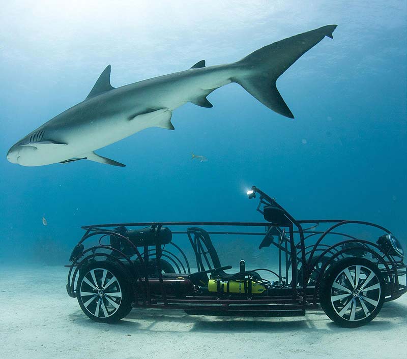 VW Beetle Shark Cage: Ένα «σκαθάρι» έξω από τα νερά του