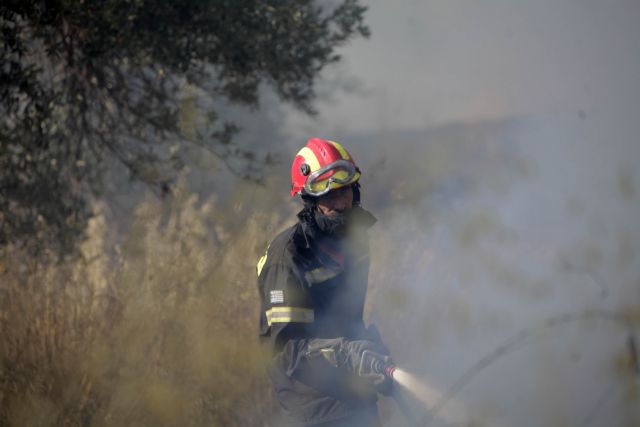 Υπό μερικό έλεγχο πυρκαγιά στην Παλιά Ζίχνη Σερρών