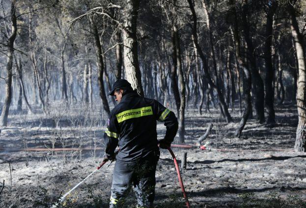 Ελεύθερος με περιοριστικούς όρους ο ύποπτος για εμπρησμό στη Βαρυμπόμπη