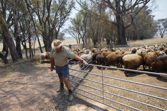 Αγρότης με σχεδόν σπασμένο αυχένα διήνυσε 3χλμ με μοτοποδήλατο