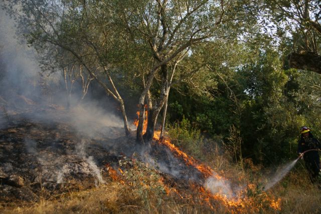 Φωτιά ξέσπασε σε δασική έκταση στο Δήμο Πάργας