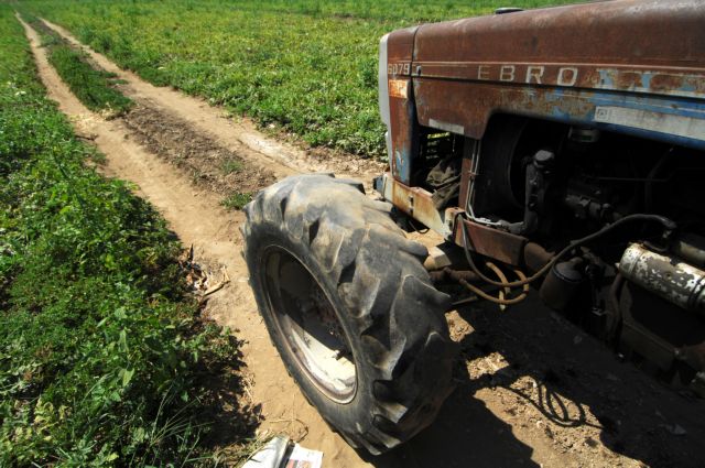 Δωρεάν εκπαιδευτικά σεμινάρια γεωργίας για ανέργους