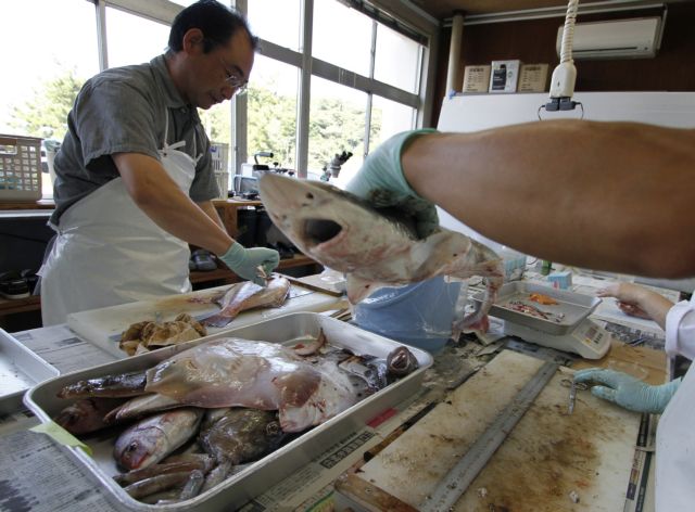 Μπλόκο της Νοτίου Κορέας σε όλα τα ψάρια από τη «ραδιενεργή» Φουκουσίμα