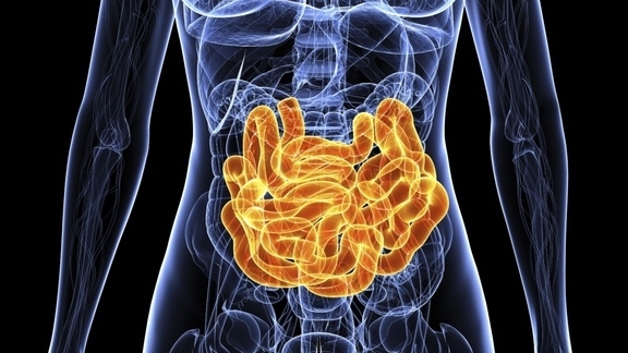 «Μεταμόσχευση» εντερικών βακτηρίων υπόσχεται καταπολέμηση της παχυσαρκίας