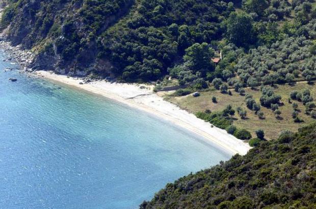 Αυθαίρετες περιφράξεις εξακολουθούν να εμποδίζουν την πρόσβαση σε παραλίες της Χαλκιδικής