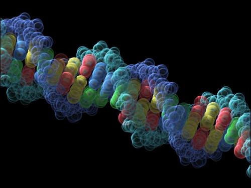 Χάρτης γενετικών διαφορών του ανθρώπινου DNA, με ελληνική «υπογραφή»