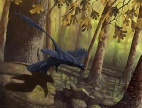 Δεινόσαυρος σε αεροσήραγγα αποκαλύπτει την εξέλιξη της πτήσης