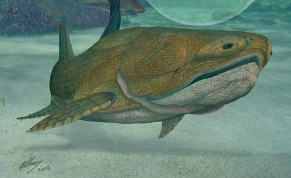 Προϊστορικό ψάρι είναι το αρχαιότερο ζώο με «πρόσωπο»