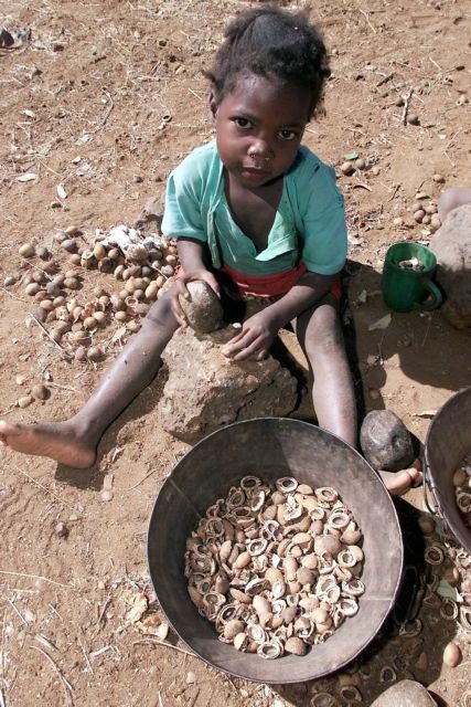 Ένας στους οκτώ ανθρώπους στον κόσμο πεινάει, σύμφωνα με έκθεση του ΟΗΕ