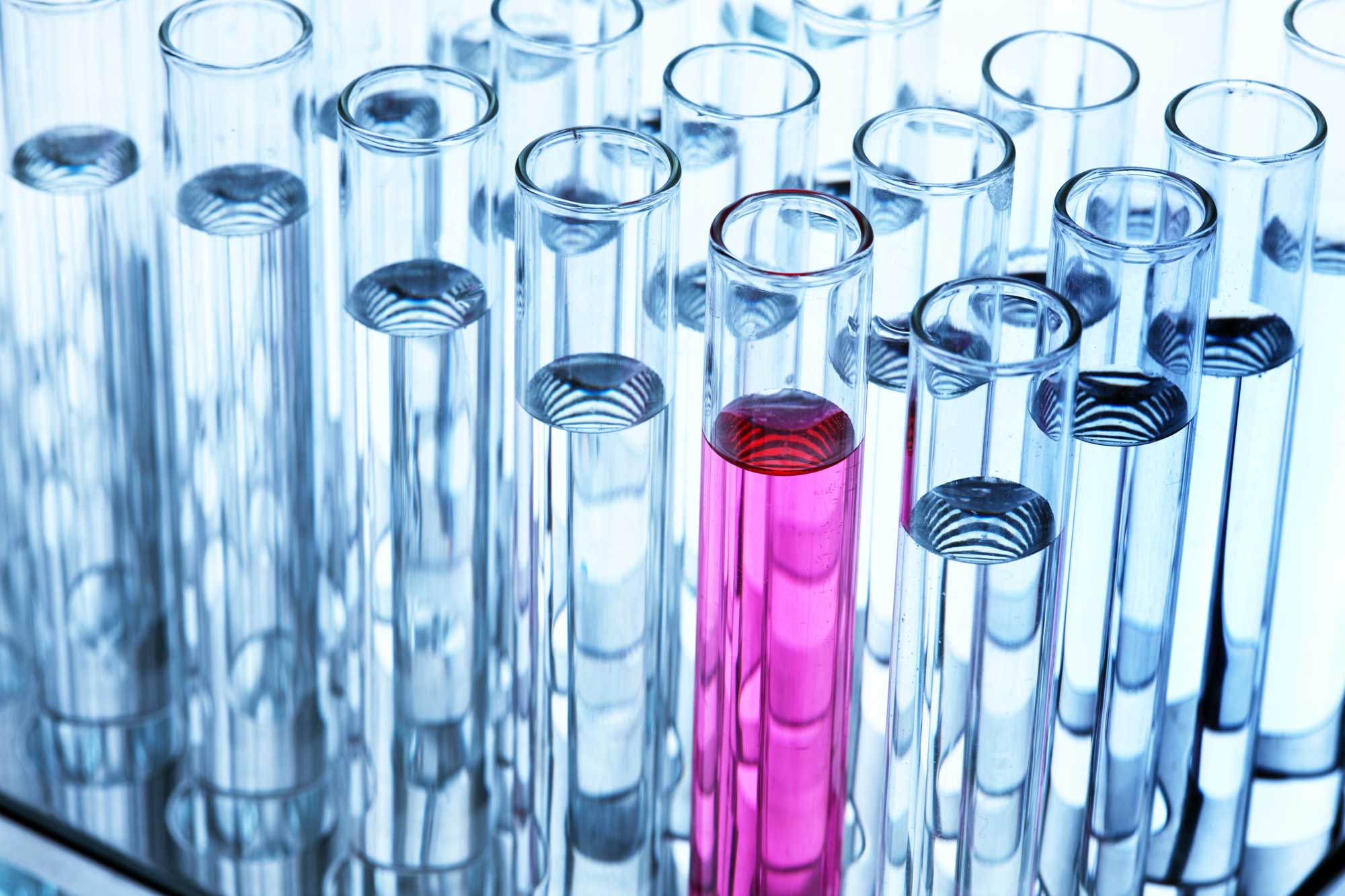 Αύξηση της Απασχόλησης στις Επιστήμες Ζωής και Υγείας στην ΕΕ έως το 2020