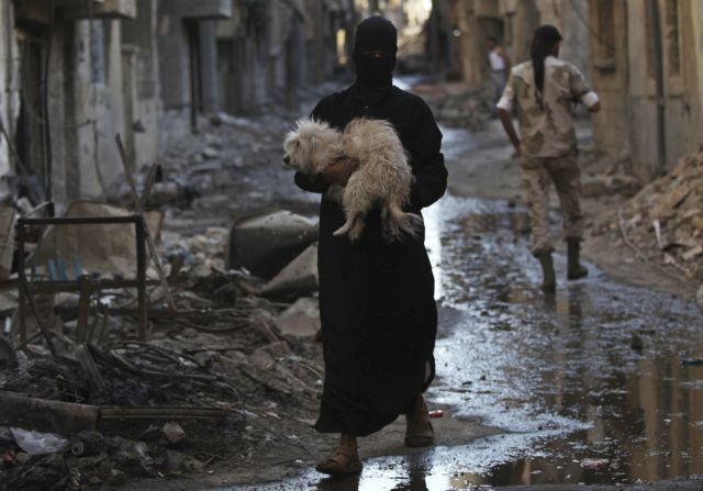 Φετβά στη Συρία επιτρέπουν την κατανάλωση γατών και σκύλων