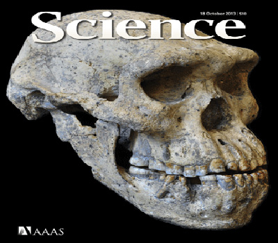 Ανακάλυψη κρανίου ηλικίας 1,8 εκατ. ετών αλλάζει την θεωρία της ανθρώπινης εξέλιξης