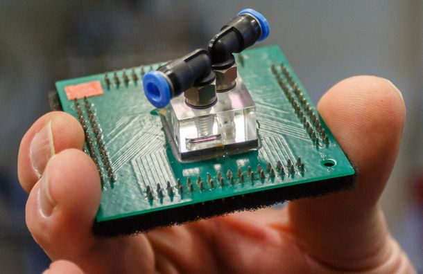 Ηλεκτρονικός εγκέφαλος της ΙBM ζει με «ηλεκτρονικό αίμα»