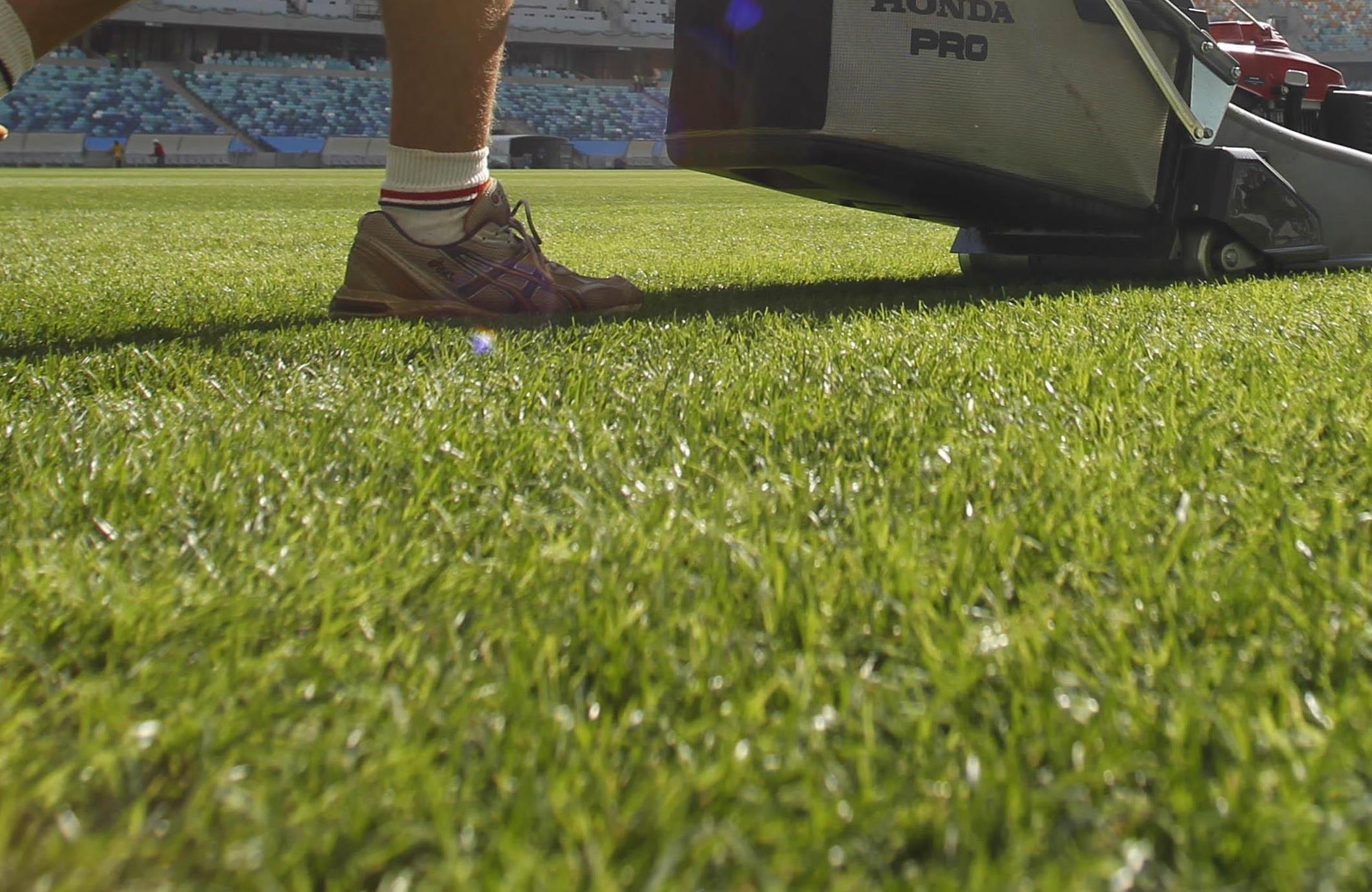 Ανθρωποκυνηγητό στην Αυστρία για τη σύλληψη κλέφτη… γρασιδιού