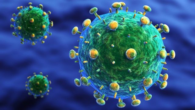Αντισώματα κατά του HIV δίνουν «θεαματικά» αποτελέσματα σε πιθήκους